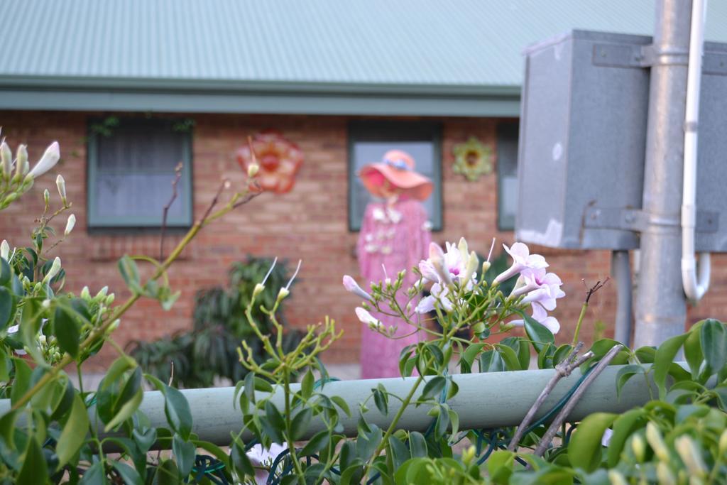 Swann Lodge B&B York Exterior photo